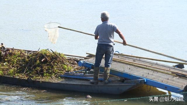 「节日我在岗」坚守岗位 只为异龙湖水清岸绿景美