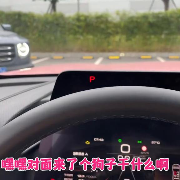 哈弗大狗仪表盘怎么显示油耗图片，大狗油耗解答，自动启停功能不对的地方记得补充哦！#哈弗大狗