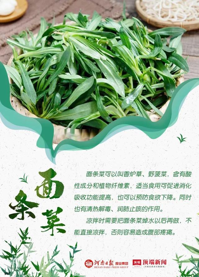 郑州野菜采摘地图出炉！香椿、荠荠菜...挖野菜全攻略，还不赶紧收藏