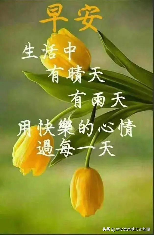 早上起床最火爆的励志早安心灵鸡汤语录，励志心灵鸡汤分享