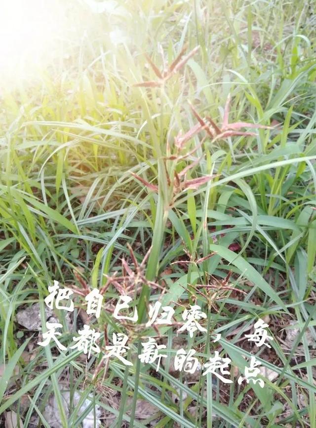 调整心态-改变自己