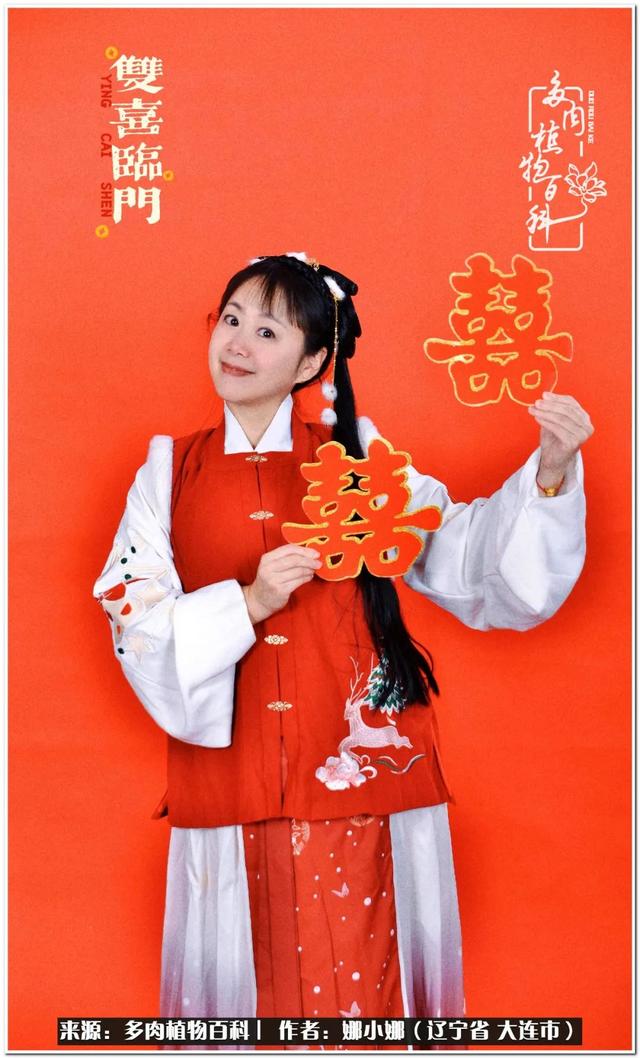 辽宁螺旋洗砂机出售