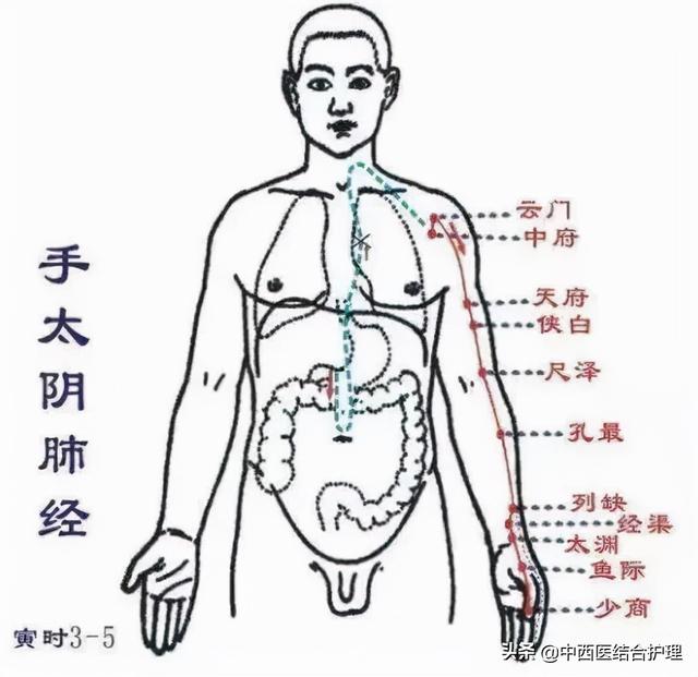 「经络科普」如果这里堵了，人易咳嗽、皮肤痒，赶紧揉开