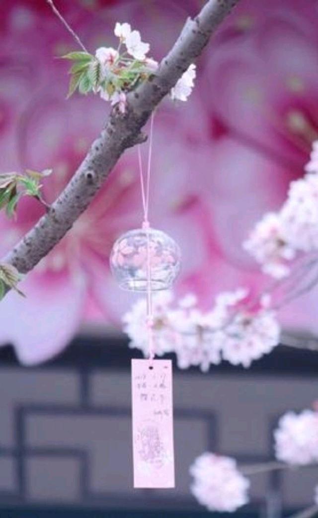 散文：心怀温暖，万物可亲；心怀希望，万事可期