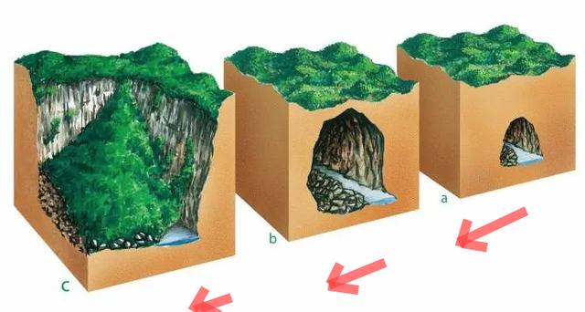 我国发现巨大天坑，内部包含森林！科学家：可能存在未知物种