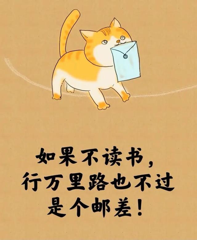 所谓的人生就是⋯