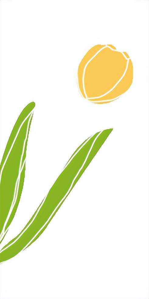 绿盟牡丹 | 520甜蜜告白