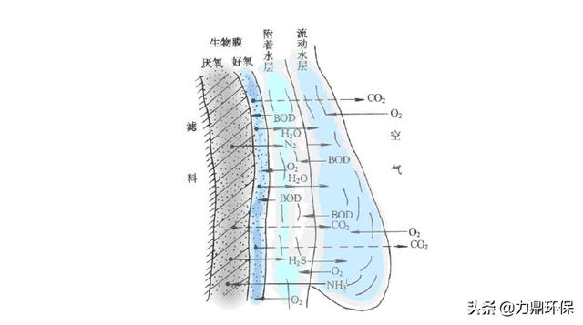 力鼎洗砂机石粉机