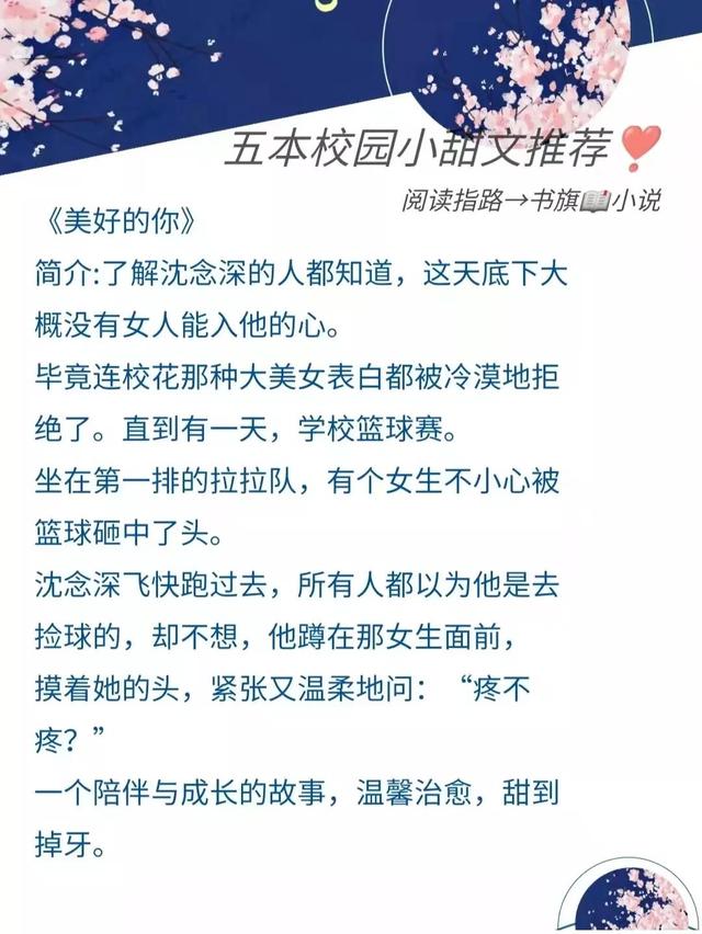 校园爱情小说排行榜