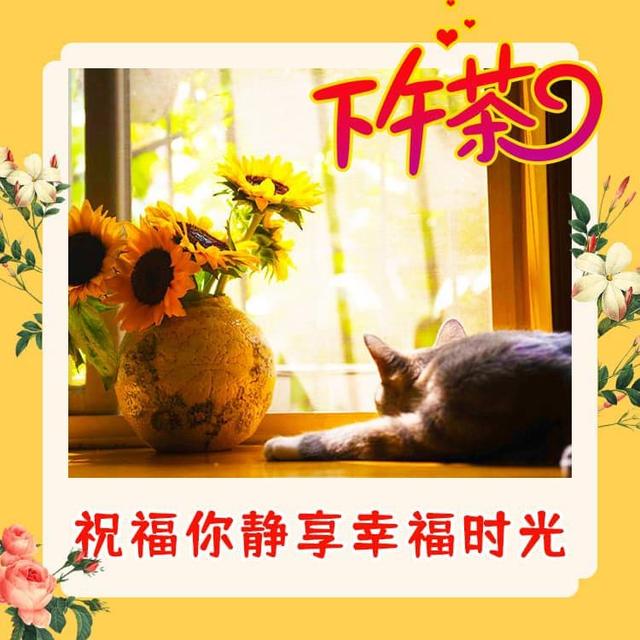 下午好的温馨的问候语最美丽的下午好带字祝福图片