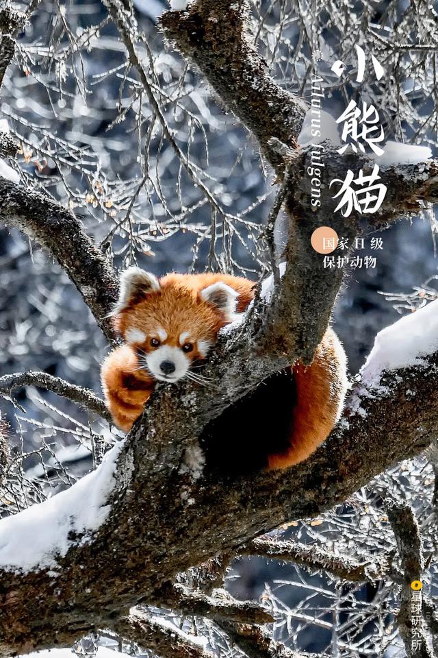 五指山破碎制砂机厂家