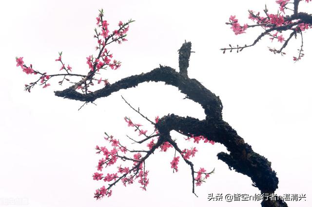 一个人命里的福祸，皆是定数