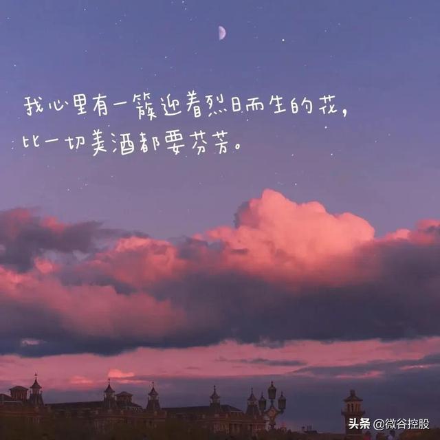 朋友圈惊艳一句话文案，干净又治愈，句句倾心