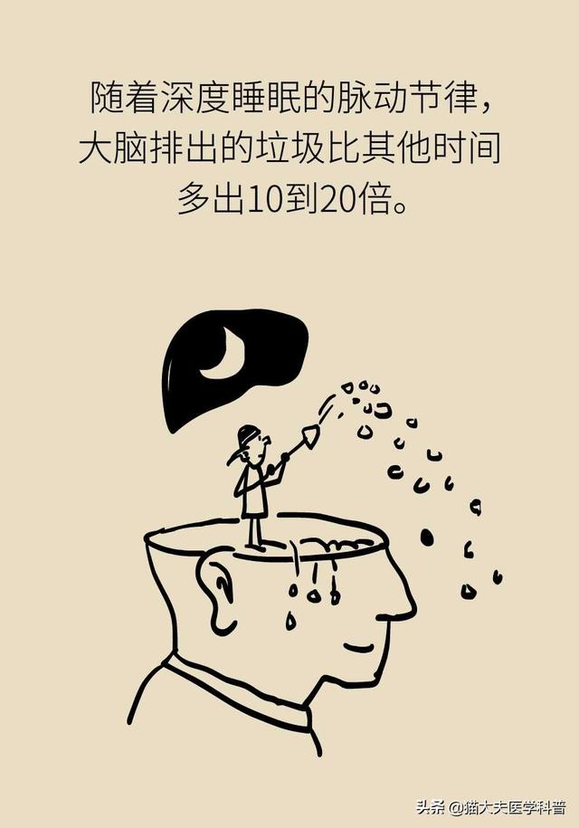 睡眠日丨睡不好的后果远比你想得更严重，你可能会变傻