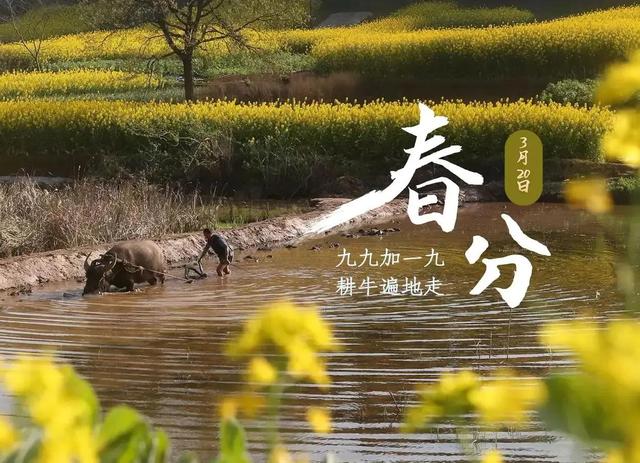 春色从此分，春光从此浓