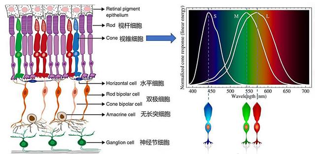 中美轨道器拍火星对比：为何中国黑白更模糊，美国彩照更清晰？