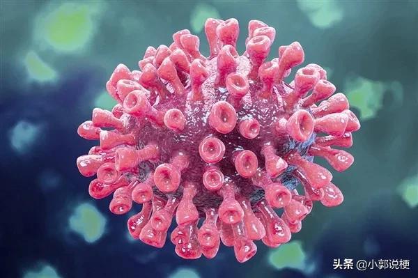 健康不等于长寿