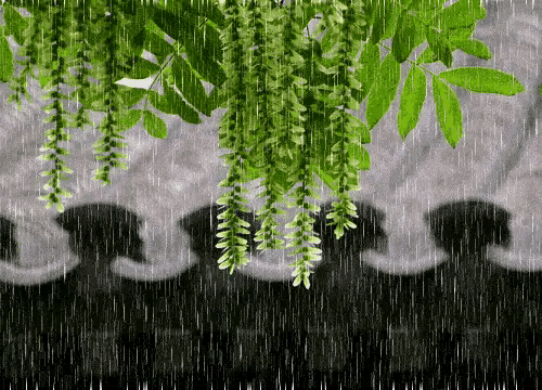 12～15号，大范围特大暴雨连下四天，“冷夏”要来？农谚咋说