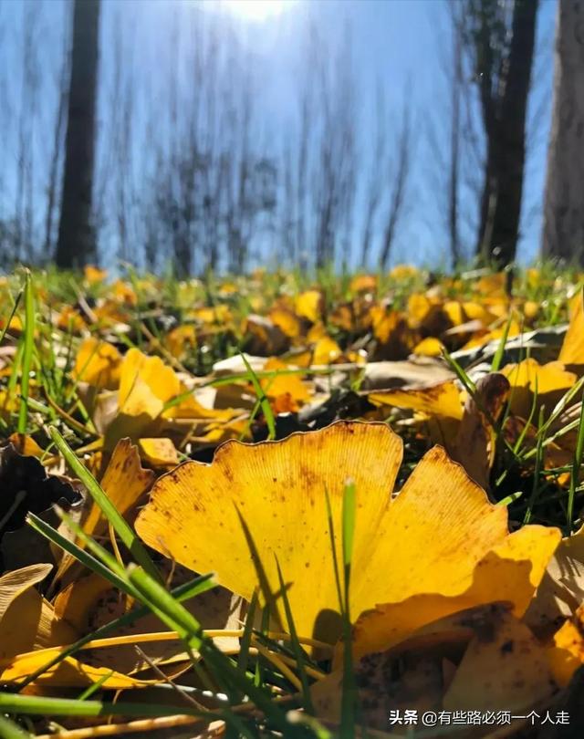 我帮儿子战胜了厌学，走出了抑郁的低谷