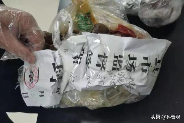 屡次发生！村民种罂粟近千株，炒菜当味精放，殊不知已经犯法