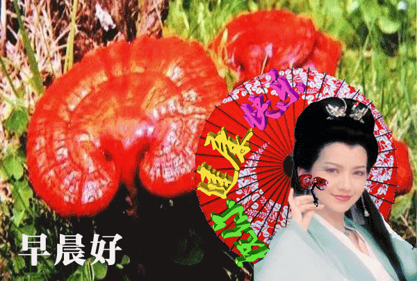 早安正能量唯美短句心语（2022.10.18早安心语正能量精致语录）(47)