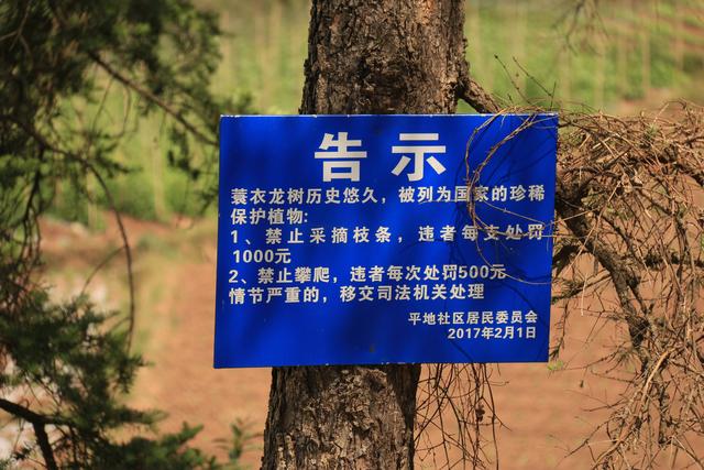因为“众所周知”的原因，今年的五一节我将呆在昆明渡过