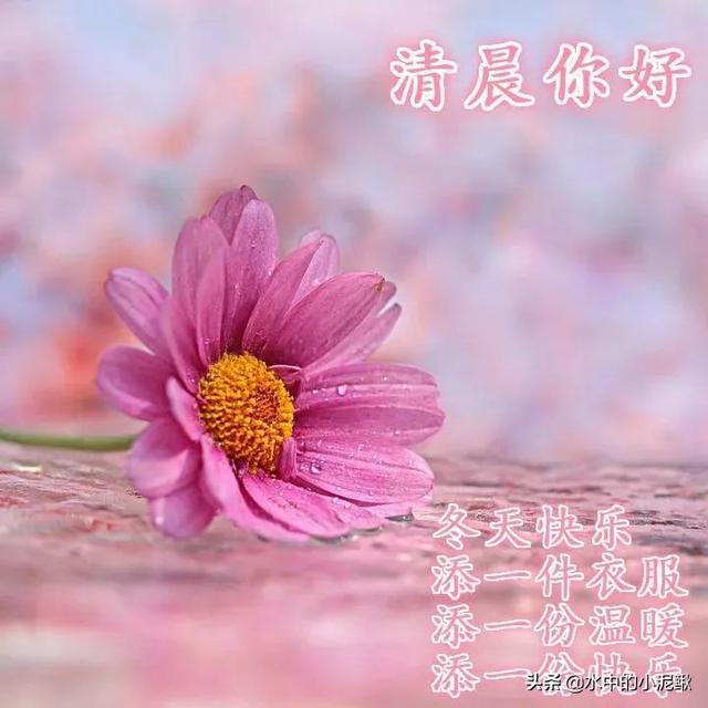 正能量的早安句子致自己 送给自己的早安心语经典