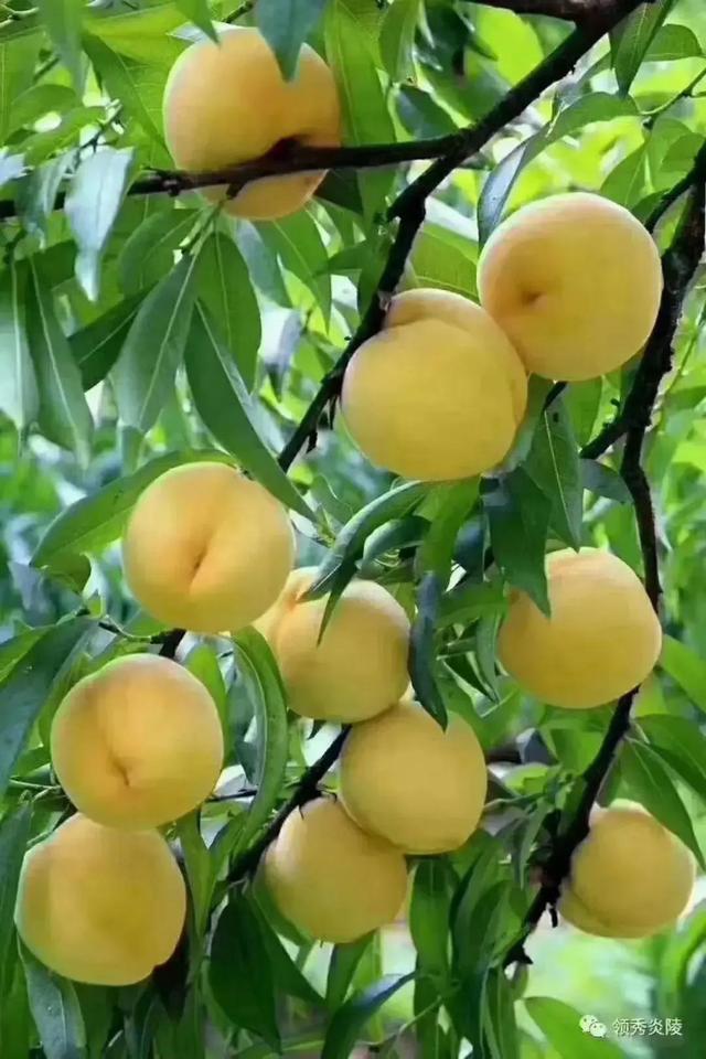 五月随感话心语