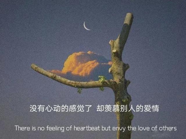 非常经典的伤感文案，看一次，哭一次