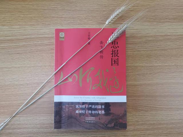“尽忠报国”的岳飞，今天依然还有很多细节被忽略