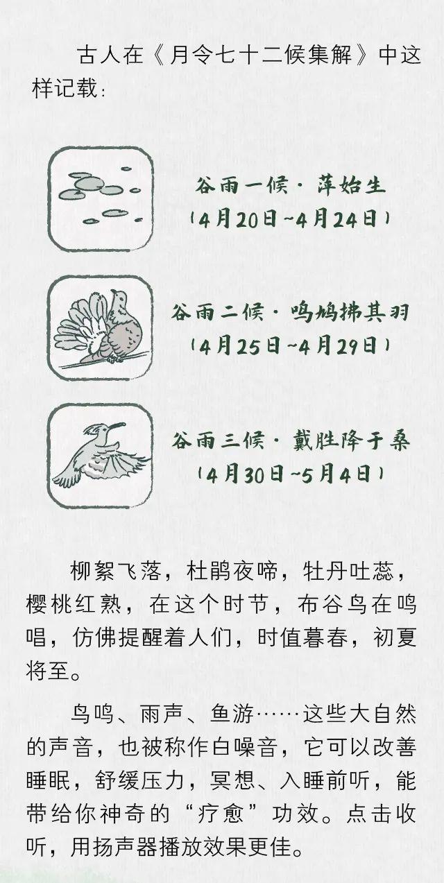 谷雨：用耳朵抓住春天的尾巴