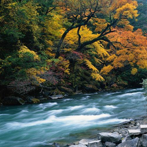 [ios可达鸭虚拟消息数量修改]风景头像微信大自然-站库网