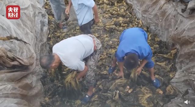 “老坛酸菜”事件影响13万人生计：39家工厂停产，害群之马是谁？