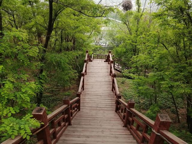 留住春日美景