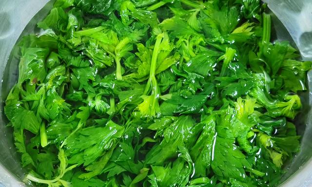 芹菜叶子怎么蒸散做好吃,一招清蒸芹菜叶味道超好吃
