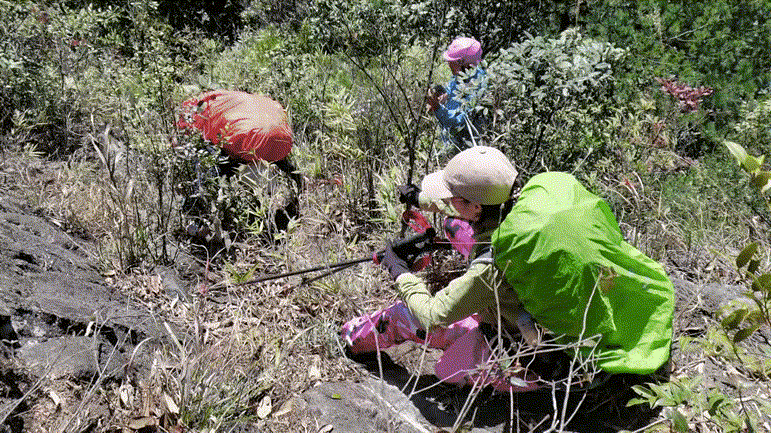 南嶺山脈，一次出行登頂廣東最高前六峰讓驢友自豪一生