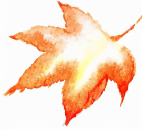 关于生命，这些绘本也让老人心里一暖