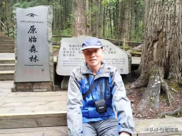 故乡的柿子树