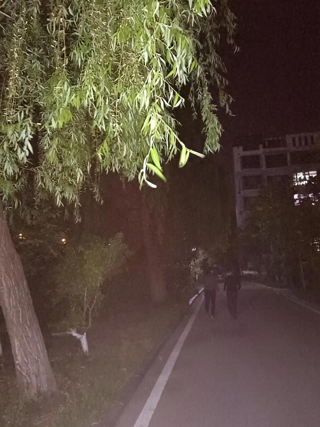 我家附近那条河