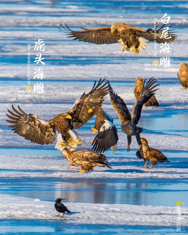 五指山破碎制砂机厂家