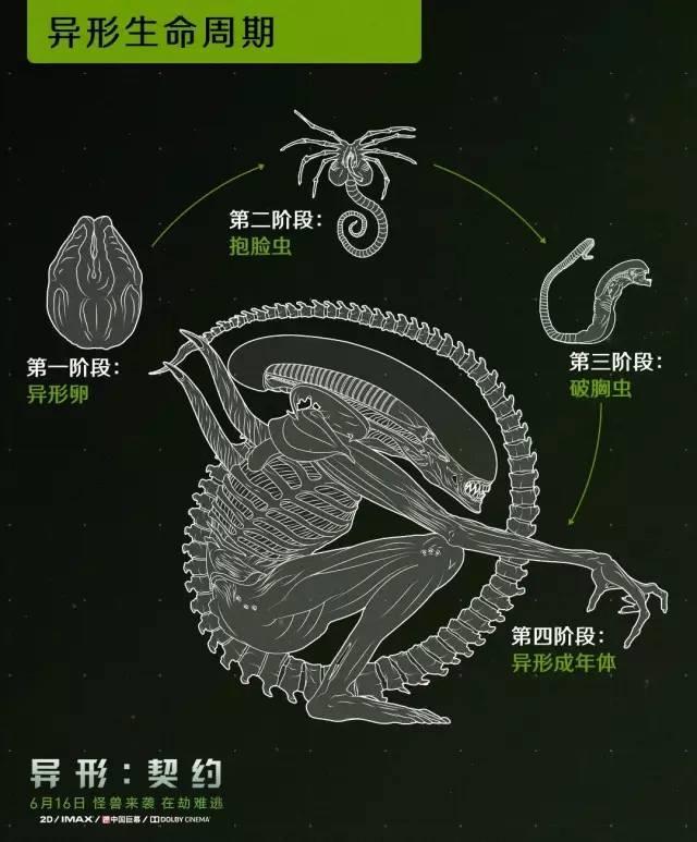 异形电影宇宙中的虚拟种族生物