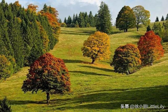 黄帝内经中五行指的是什么意思？