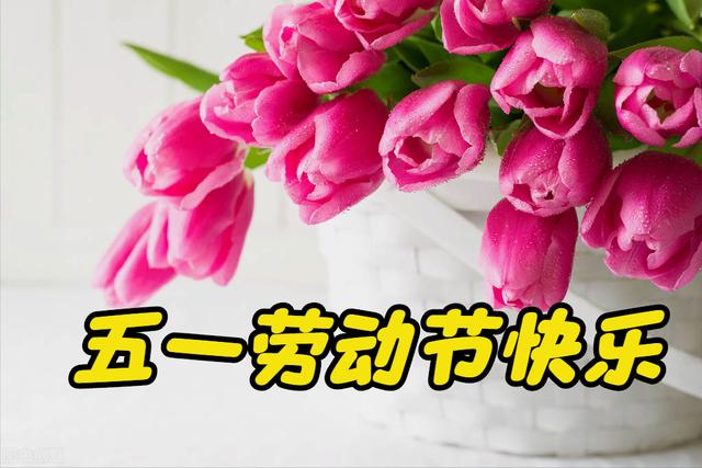 一花一祝福，五一劳动节，鲜花送美好，劳动最光荣，幸福好生活