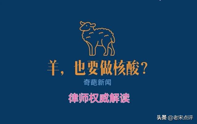 官方已删除“牵羊做核酸”官方通报，罗翔等多位律师解读法律责任