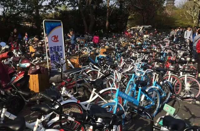 投资共享单车破产，负债百万、女友跑路的富二代丁伟，后来怎样了