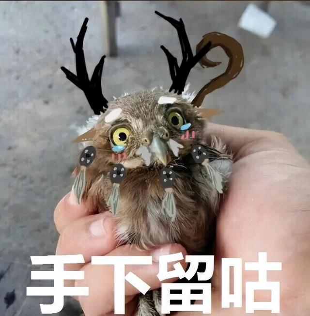 绝地求生辅卡盟 暴雪主动摆烂还是被迫摸鱼？魔兽10.0天赋树暗藏了什么玄机？