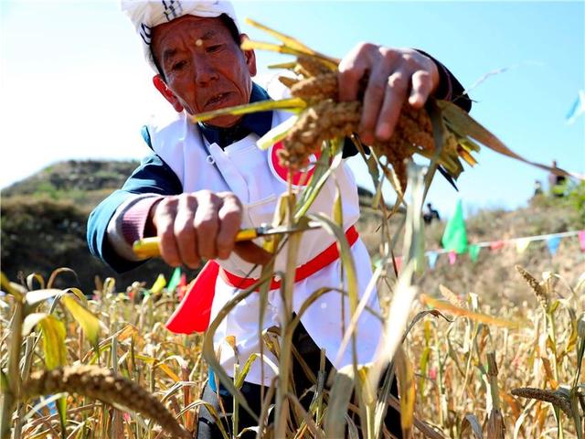 心系千家万户丨让乡亲们的日子越过越红火
