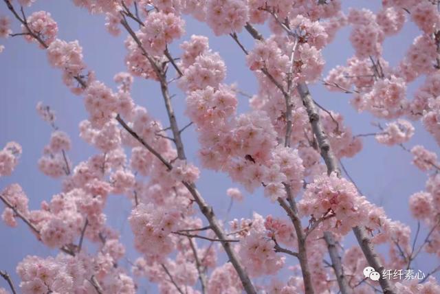 生活不易，互相鼓励