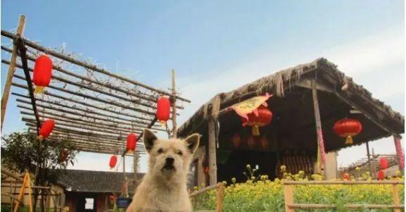https://blog.sina.com.cn/s/blog_9766a3620102yz3l.html