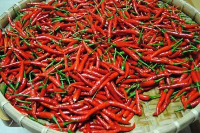 他为毛主席做饭22年，做饭不敢放酱油，回忆：毛主席晚年不吃辣椒